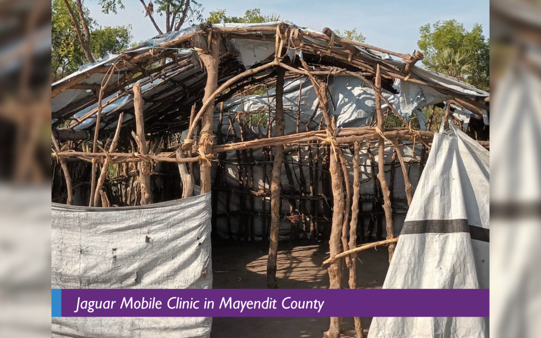 The Healthcare Dilemma of Expectant Mothers in Mayendit County